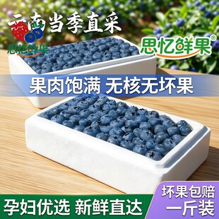 云南高山新鲜蓝莓鲜果孕妇宝宝新鲜水果优质现摘现发产地直发 包邮