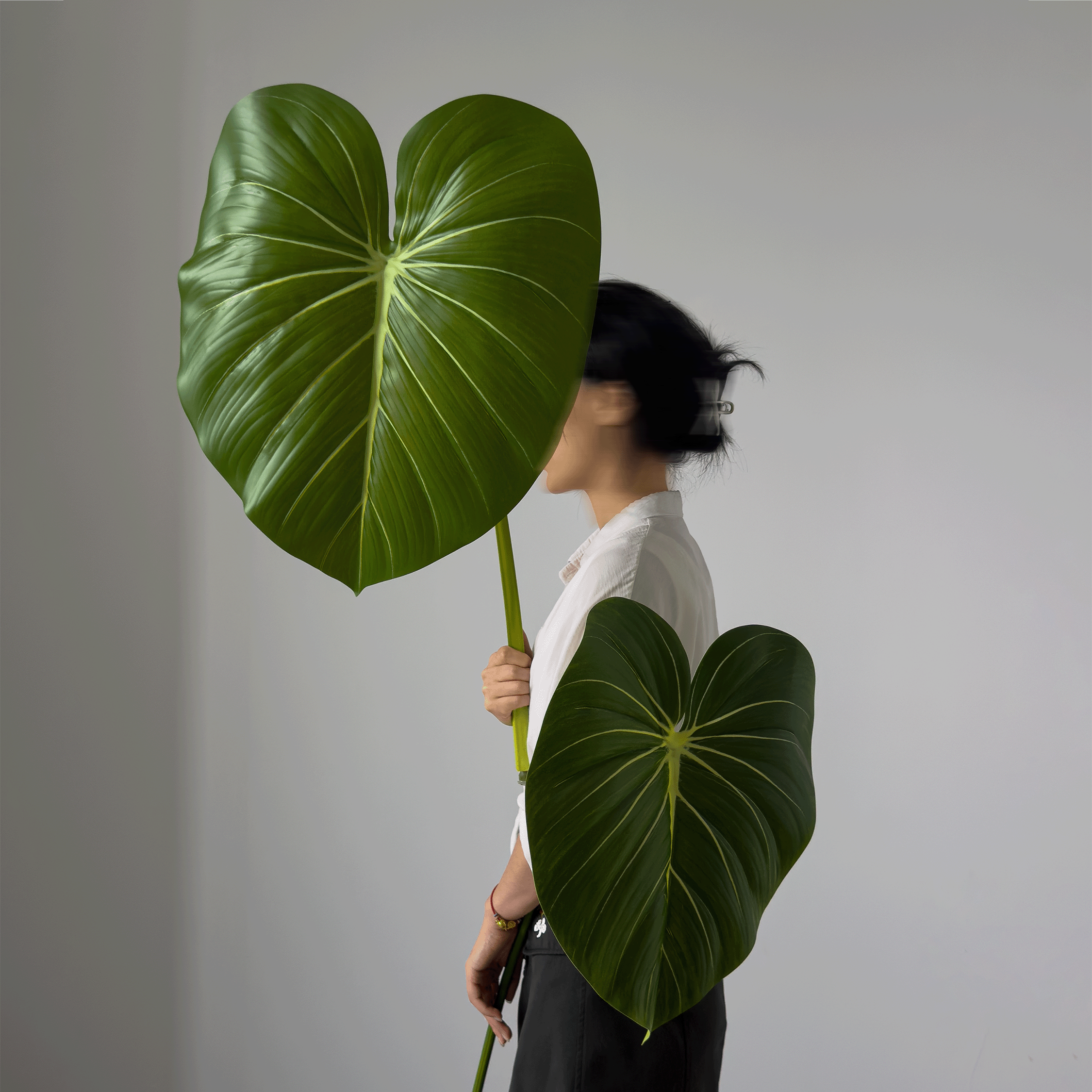 大型手感龟背叶竹蔓绿绒美拉德色系仿真叶子绿植造景高端轻奢逼真,鲜花速递/花卉仿真/绿植园艺,仿真绿植,淘宝优惠券,粉丝福利购,淘宝优惠卷