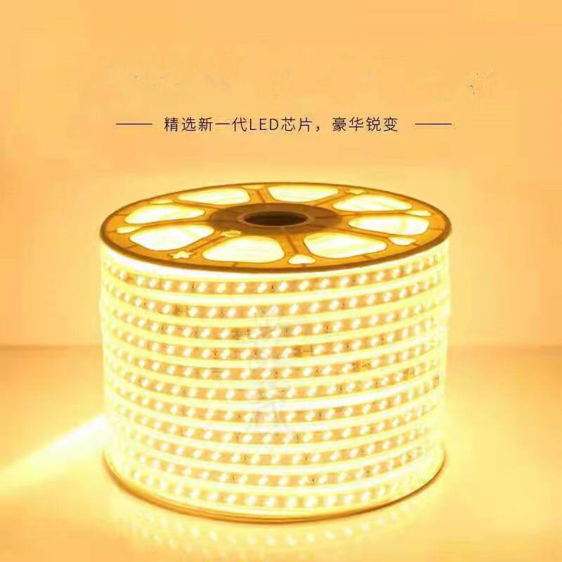 220Vled灯带批发白光户外防水工程暖光养殖塔吊工地24V36V地下室