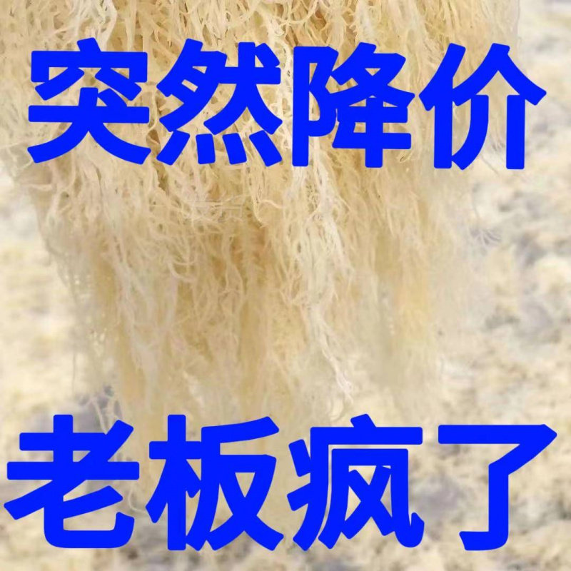 干到扎手龙须菜凉拌菜麒麟菜干货