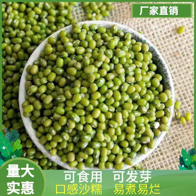 绿豆芽菜牙芽苗绿芽菜豆籽用豆绿豆芽