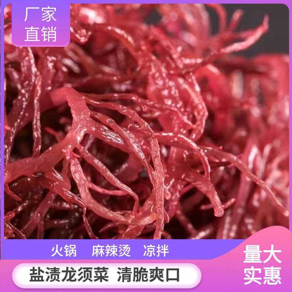 盐渍商红藻龙须菜新鲜海菜花火锅凉拌菜石菜食材海草发菜用家用