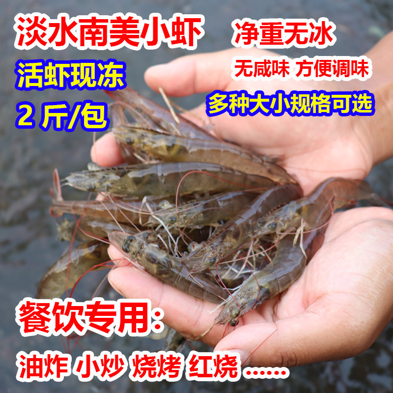 淡水小虾商用无盐净重无冰南美对虾湖水虾可油炸小炒剥虾仁喂宠物