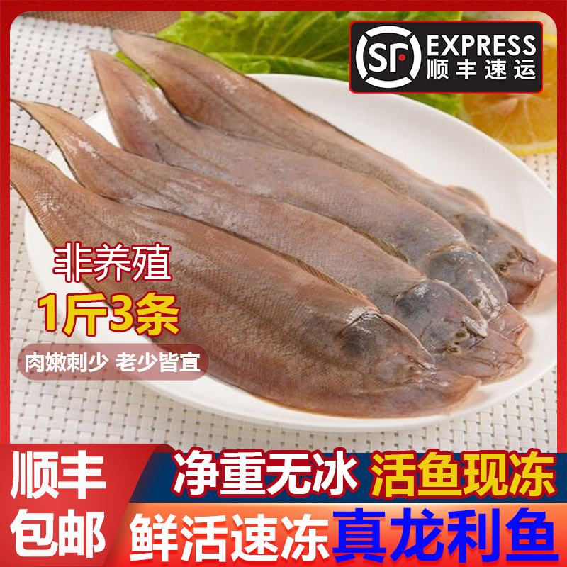 新鲜海捕小黄鱼鲜活冷冻海鲜水产