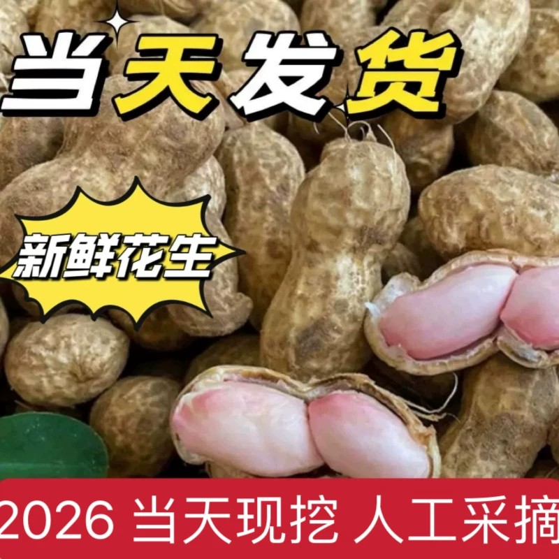 花生粉皮自种泥巴花生饱满