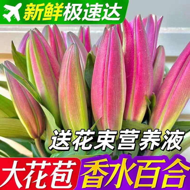 鲜花云南基地直发重瓣香水百合花真花水培家用办公室礼物花束混搭