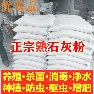 熟石灰粉氢氧化钙消石灰杀菌