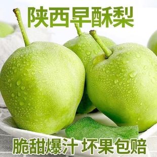 2025头茬】早酥梨山西青皮梨子新鲜水果整箱农家自种雪梨酥脆多汁