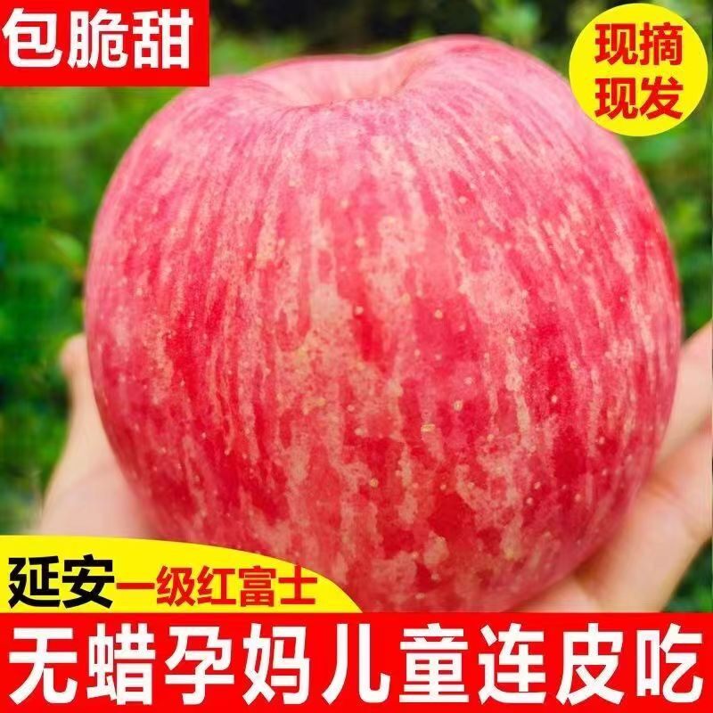 正宗陕西洛川苹果水果新鲜当季整箱红富士冰糖心一级脆甜包邮