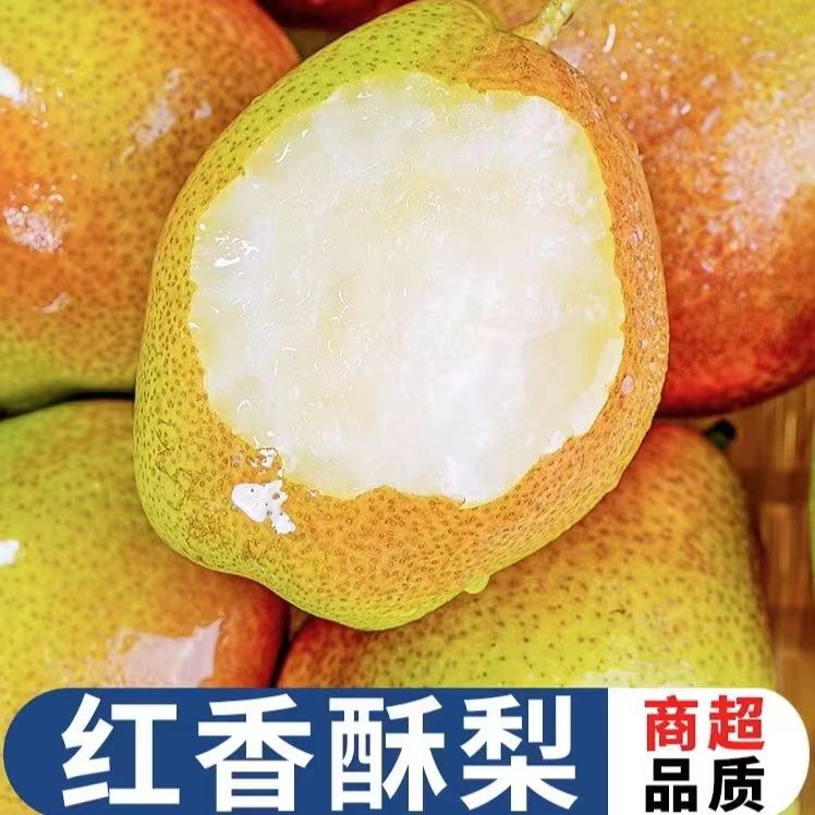 红香酥梨水果新鲜整箱当季包邮薄皮青酥梨脆蜜雪梨香梨梨子