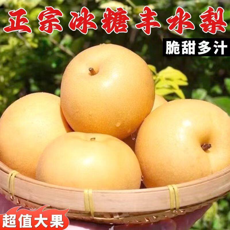 正宗山东烟台莱阳丰水梨新鲜水果当季冰糖雪梨子5斤整箱产地直发