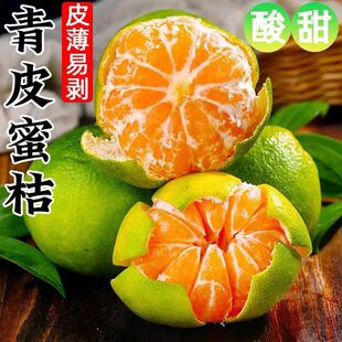 青皮蜜桔青皮桔子橘子云南特酸新鲜桔子应季水果绿皮酸甜多汁