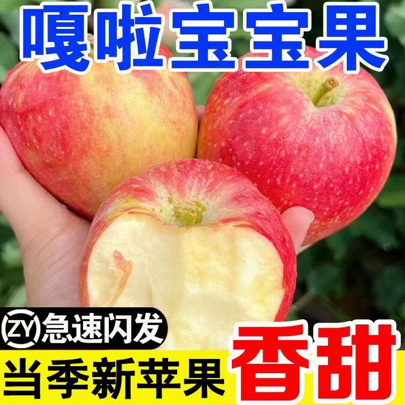 正宗嘎啦苹果新鲜水果当季整箱包邮现摘红富士脆甜冰糖丑苹果