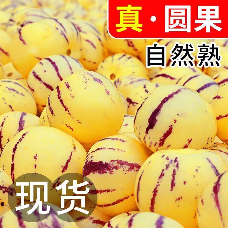 人参果新鲜水果云南石林黄心圆果树上熟七彩人叁果应当季整箱包邮
