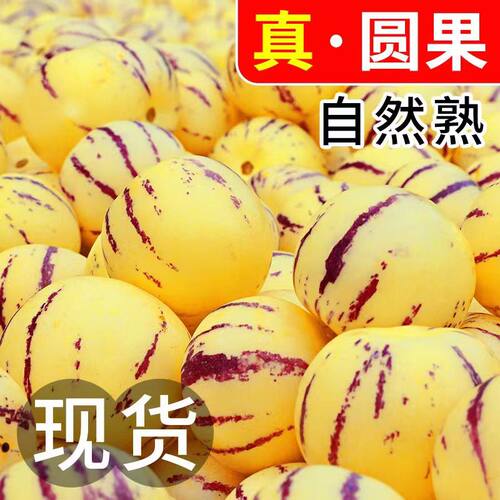 人参果新鲜水果云南石林黄心圆果树上熟七彩人叁果应当季整箱包邮