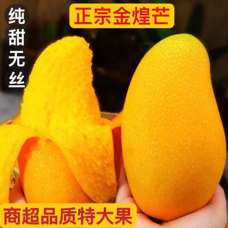 新鲜金煌芒海南芒果5斤整箱现摘当季青芒热带水果水仙甜心芒包邮