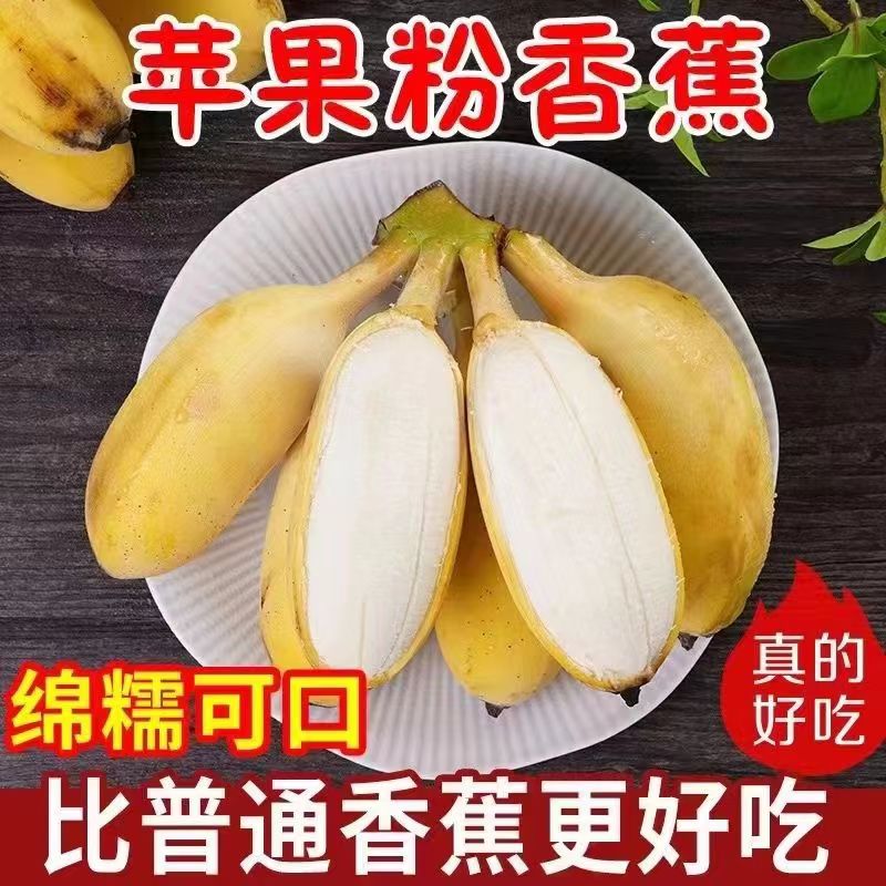 正宗广西苹果蕉香蕉新鲜纯甜自然熟当季水果粉蕉小米芭蕉香蕉