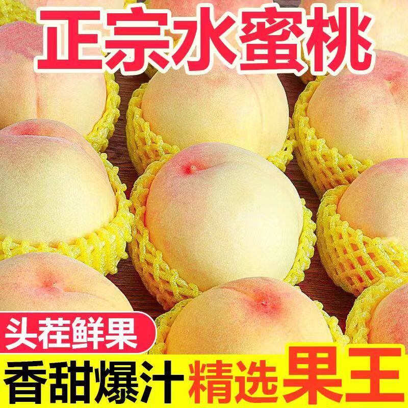 【头茬】现摘水蜜桃新鲜桃子脆甜桃应季软桃子毛桃孕妇水果整箱