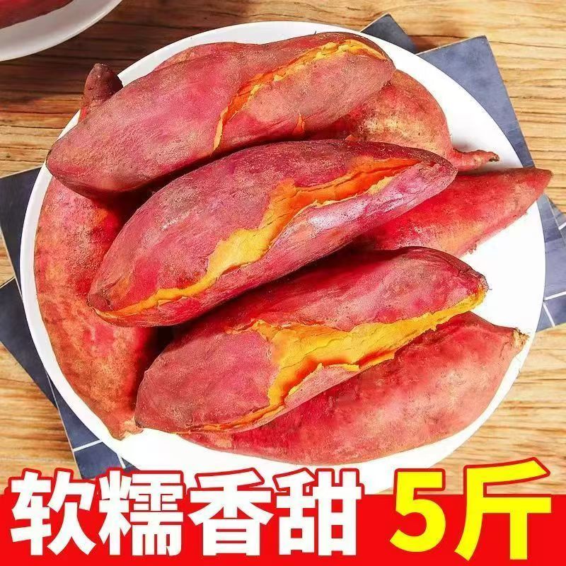 现挖龙九蜜薯红薯番薯地瓜新鲜黄心板栗自种山芋香甜软糯源头