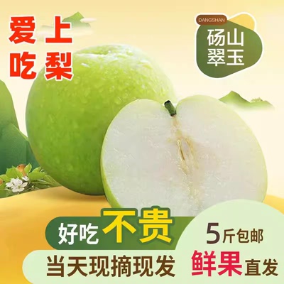 正宗青梨砀山皇冠梨甜无渣新鲜水果梨子砀山梨甘甜汁香甜多汁5斤