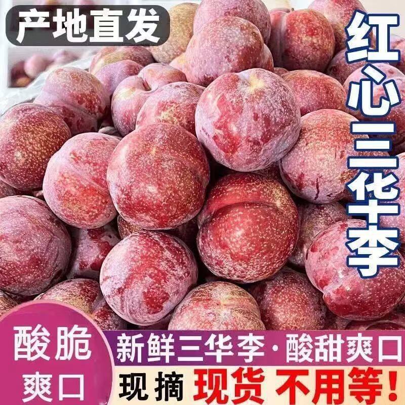 李子三华李正宗红心新鲜现货水果钱三月酸爽多汁酸甜脆口整箱包邮