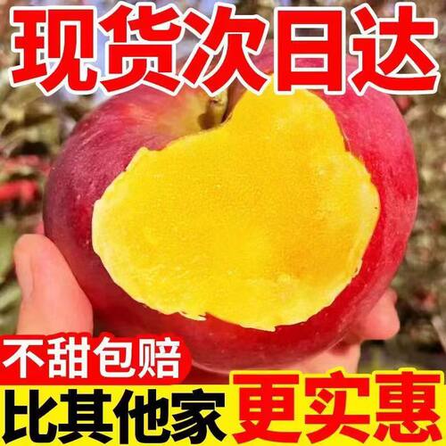 正宗新疆阿克苏冰糖心苹果新鲜时令水果当应季富士苹果整箱