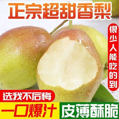 红香酥梨陕西梨子新鲜水果当季薄皮香梨青酥梨脆蜜雪梨整箱包邮