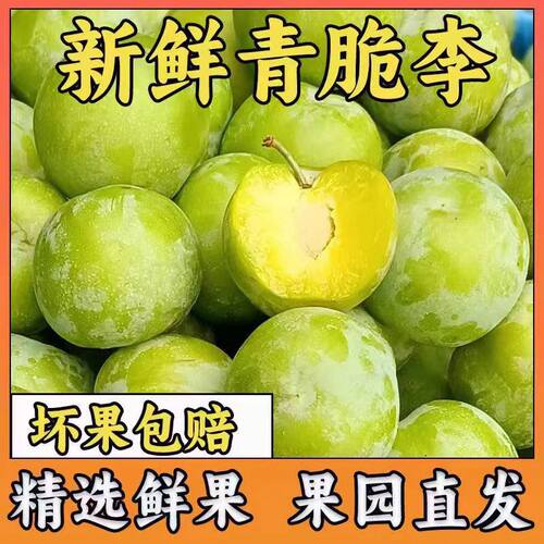 四川脱骨李子新鲜现摘孕妇水果当季脆甜青脆李清脆5斤装整箱批发