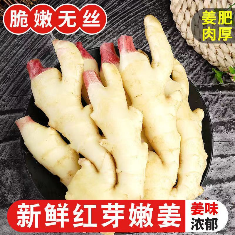 嫩姜仔姜子姜新鲜现挖鲜姜芽山东红芽嫩生姜非小黄姜批发醋泡姜