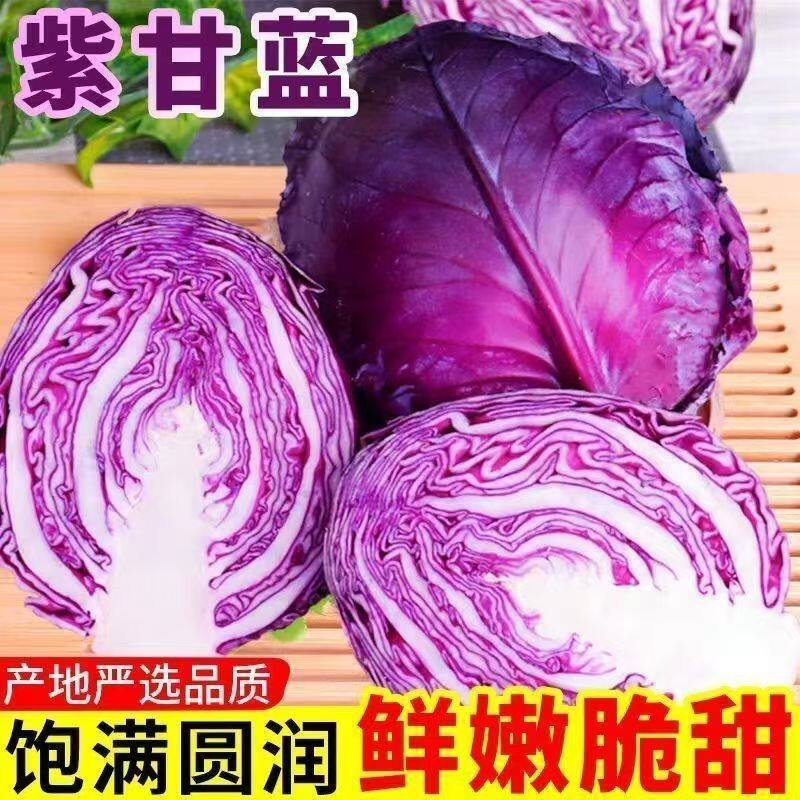 新鲜农家卷心菜沙拉菜食用沙拉菜新鲜现摘紫甘蓝包菜5斤