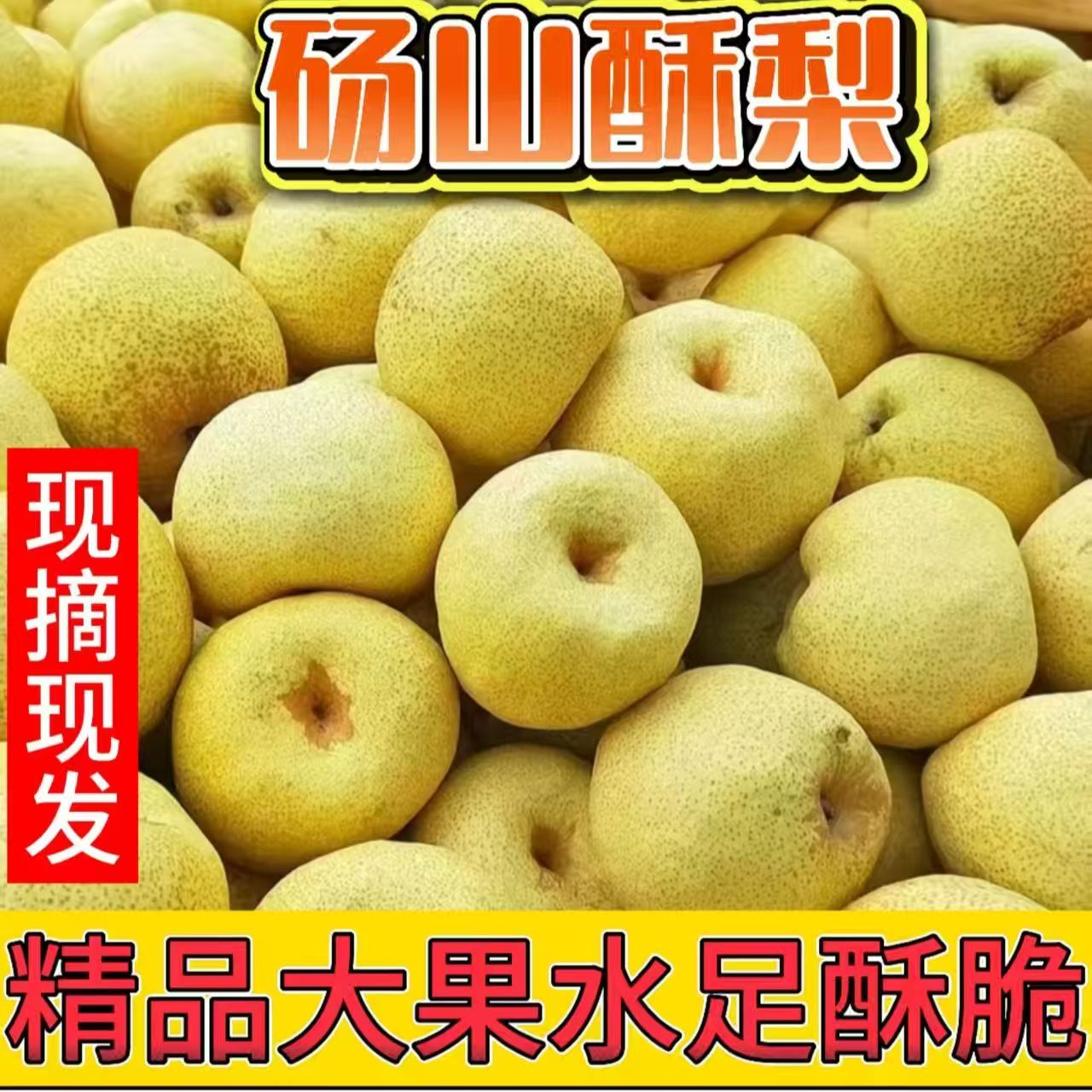 正宗安徽砀山酥梨新鲜水果现摘原产地发货应季特产烤梨整箱包邮