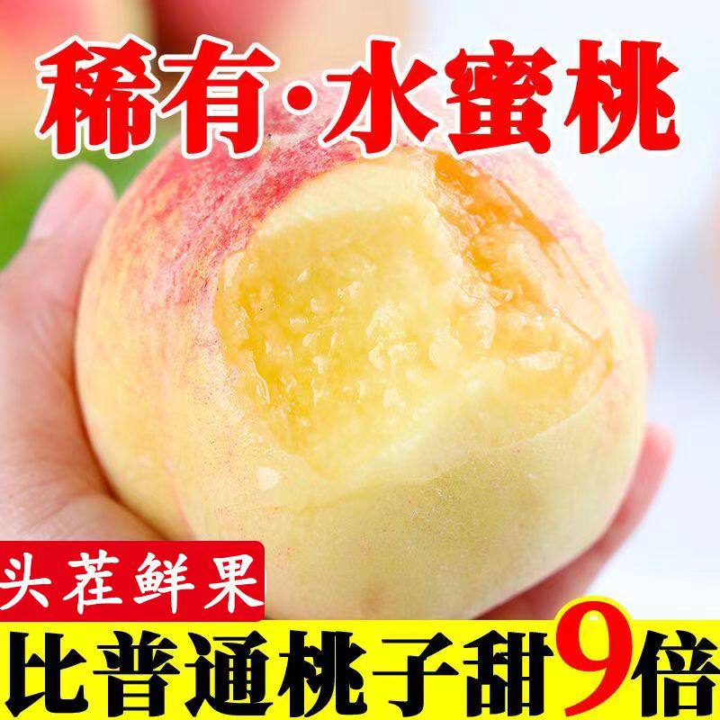 现货新鲜水蜜桃露天当季现摘大水果软油春雪毛桃子脆甜整箱时令