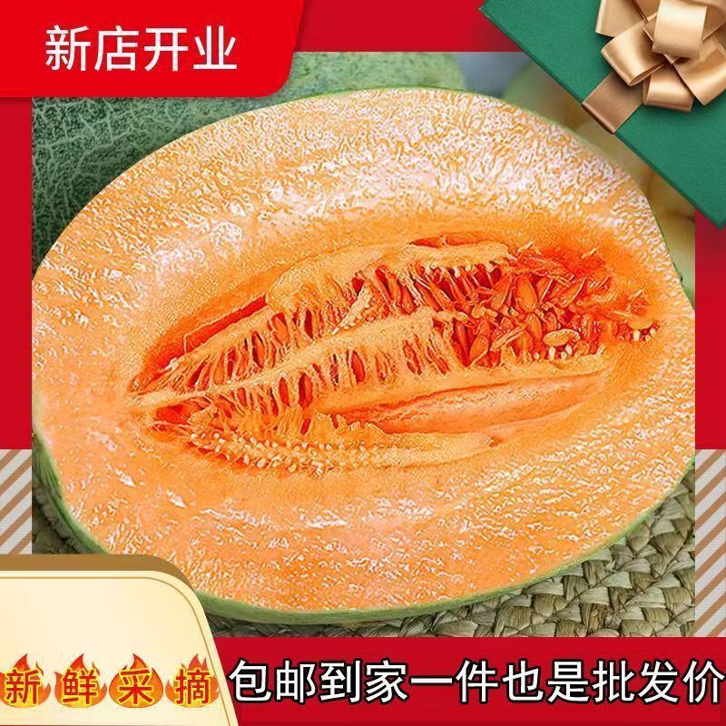 甘肃哈密瓜新鲜水果当季正宗西州蜜网纹蜜瓜整箱甜瓜包邮