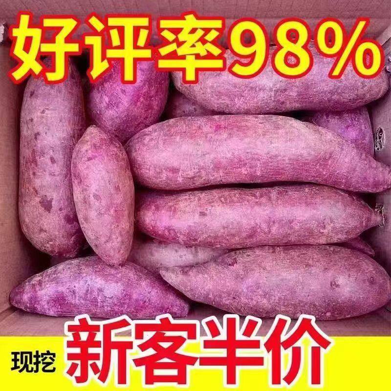 山东现挖沙地紫薯农家自种紫薯新鲜粉糯板栗紫心小番薯地瓜紫罗兰