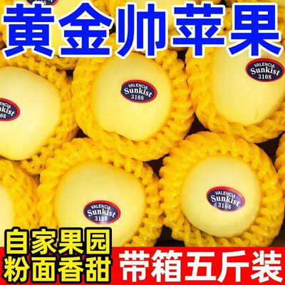 正宗烟台苹果水果黄元帅粉面黄金帅黄香蕉新鲜黄苹果山东特产整箱