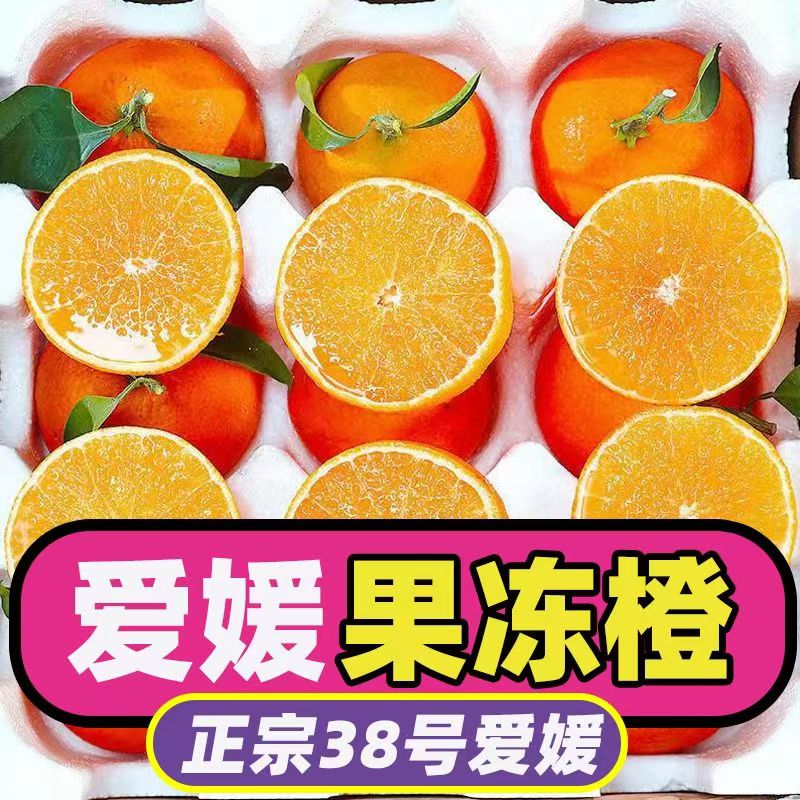 四川爱媛38号果冻橙5斤橙子新鲜水果当季甜柑橘桔手剥甜橙