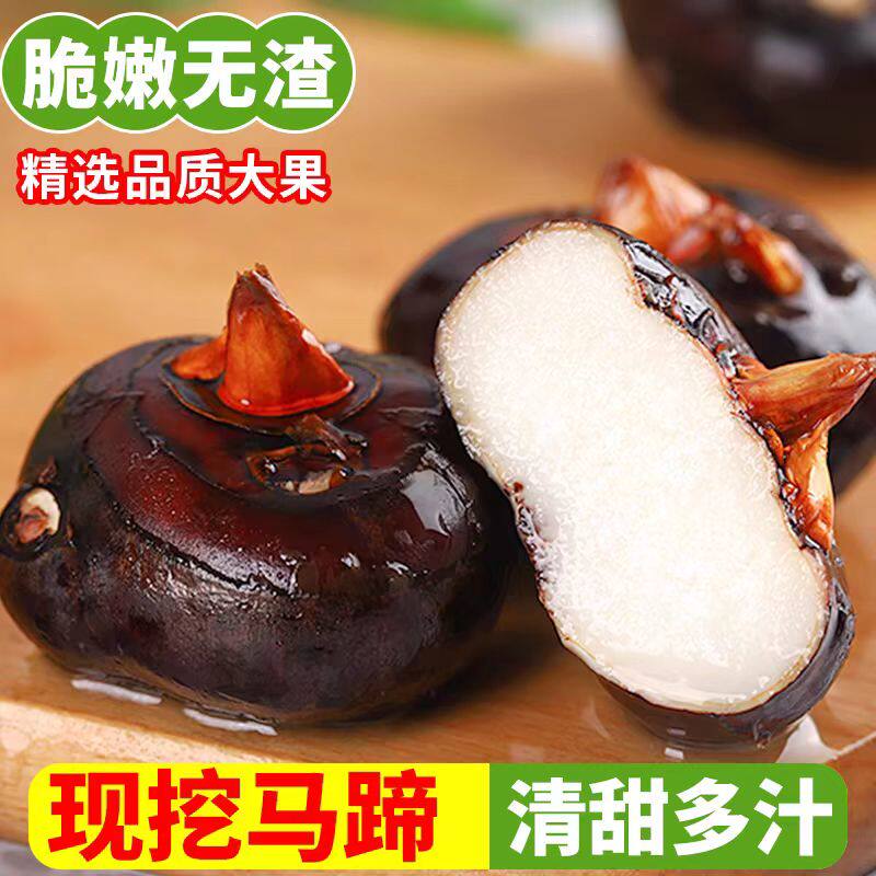 广西荔浦山泉马蹄大果当季新鲜时令水果蔬菜脆甜多汁荸荠饽荠现挖