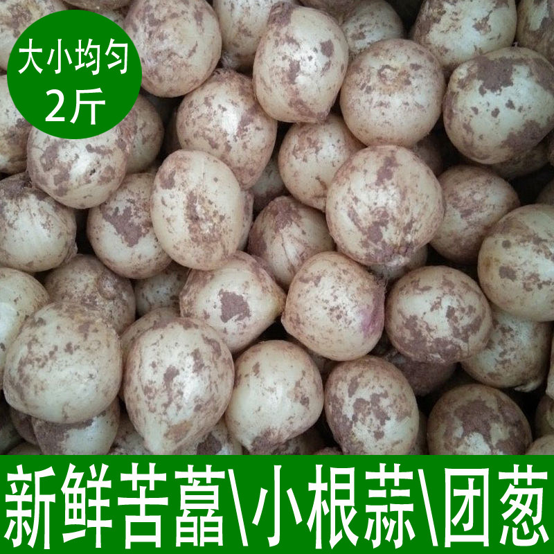 新鲜苦藠团葱小根蒜2斤
