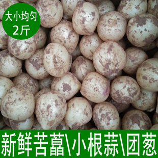 新鲜苦藠团葱小根蒜苦芥野葱头小蒜头四川藠头薤白1000g包邮
