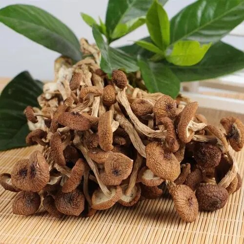 茶树菇 干货 福建特产农家不开伞食用菌汤包煲汤野生菌香菇蘑菇