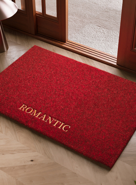 玄关大门口进门脚垫仿椰棕红色入户门地垫除尘刺绣别墅高级感地毯