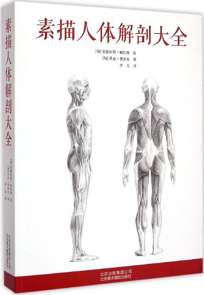 正版素描人体解剖大全匈牙利乔治费舍尔著李凡译匈牙利安德拉斯祖约西