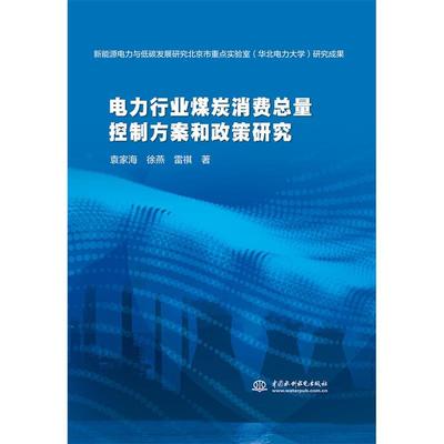 正版电力行业煤炭消费总量控制方案和政策研究袁家海徐燕雷祺著