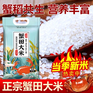 当季新蟹田米20斤白米粥米2025年新米现磨长粒香5kg五常五常香米