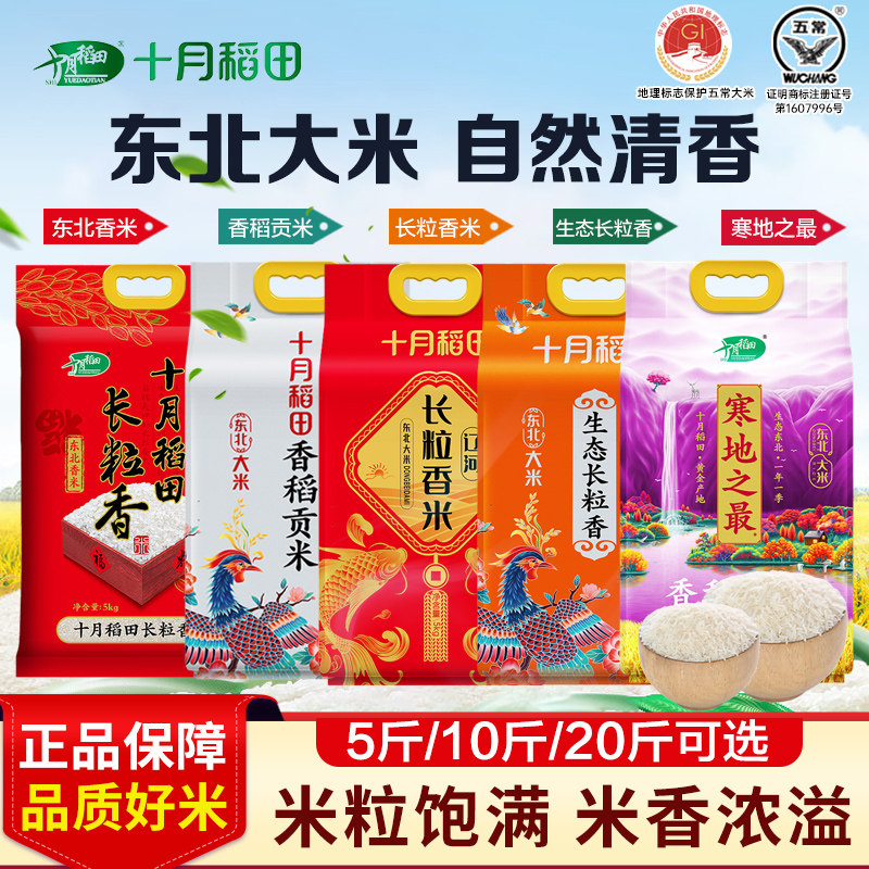 十月稻田五常长粒香大米新米图片