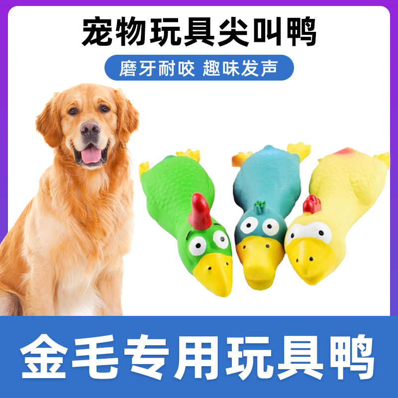 金毛犬用尖叫鸡玩具鸡发声怪叫会叫的战斗鸡狗狗惨叫鸡耐咬玩具