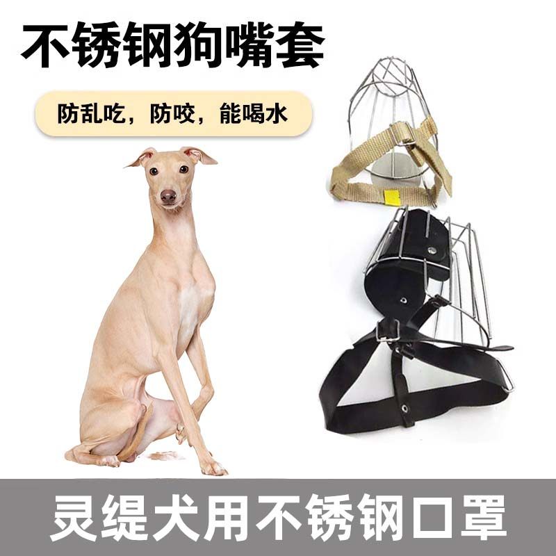 灵缇犬专用不锈钢嘴套格力犬防咬