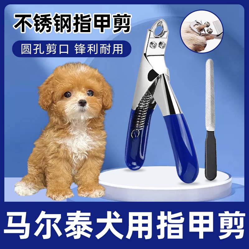 马尔泰犬用指甲剪磨甲器狗狗新手指甲刀指甲剪指甲钳套装宠物用品