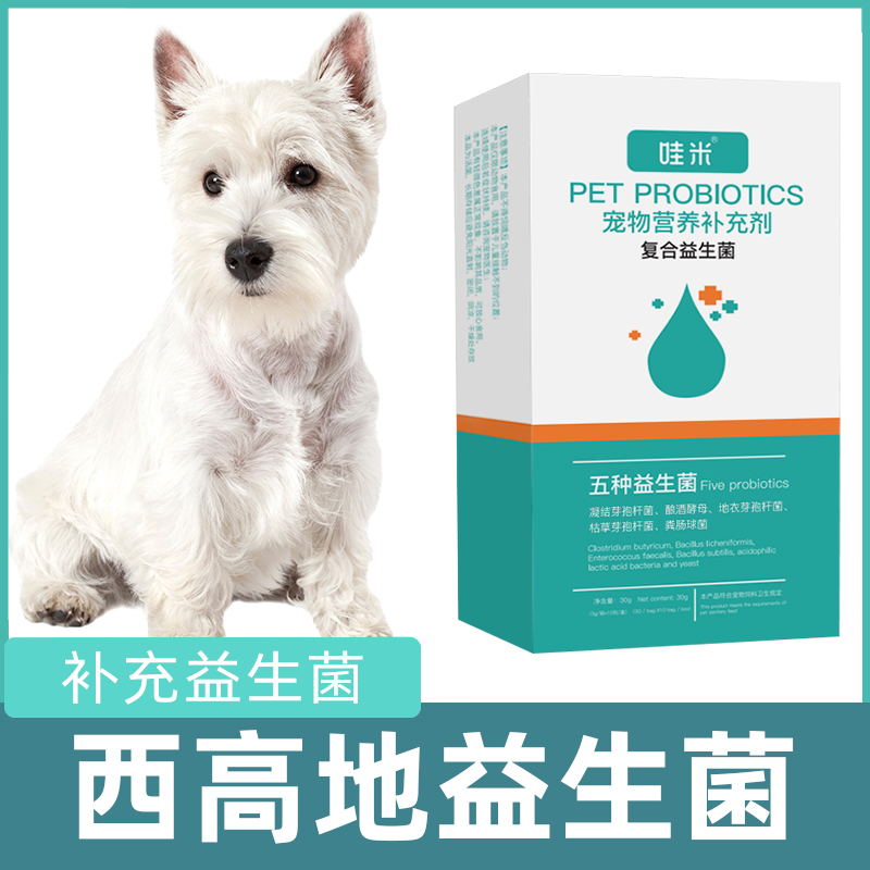 西高地专用益生菌粉宠物犬用小幼犬成犬活性菌肠道消化宝