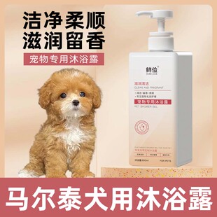 马尔泰犬用沐浴露柔顺清洁去污狗狗香波浴液成幼犬宠物洗澡用品